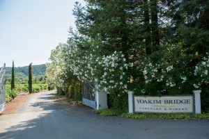 Yoakim Bridge Winery
