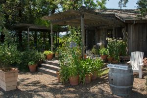 Yoakim Bridge Winery 20130630-DSC_1096